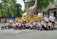 img (1)